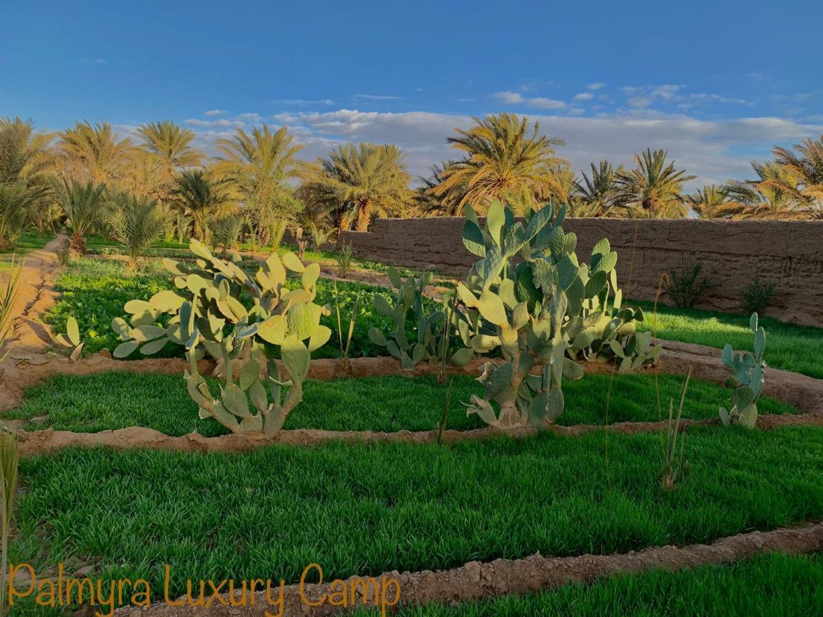 Palmyra Luxury Camp Hotell Merzouga Exteriör bild